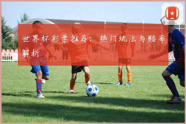 世界杯彩票推荐：热门玩法与赔率解析