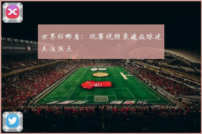 世界杯哪看:观赛视频渠道成球迷关注焦点