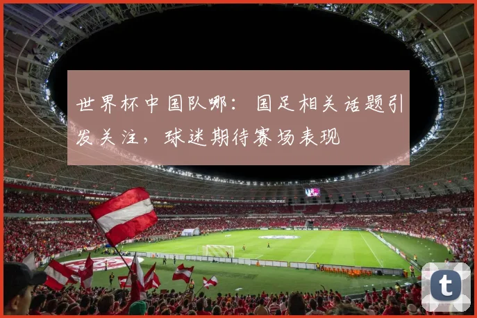 世界杯中国队哪:国足相关话题引发关注,球迷期待赛场表现